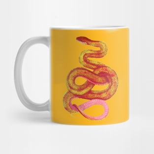 serpent,cobra,reptile,viper,venom,lizard,rattlesnake,king cobra,dragon,hydra,poison,venomous,plumber's snake,pythonidae,pythons,auger,python,squamata,serpentine,worm,big,ophidian,rattlesnakes,medusa,snakebite Mug